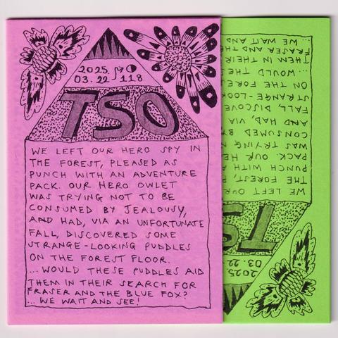 The covers of two a7 size zines with illustrations of flowers and the beginning of the issue’s storyline that sees detective Tso and owlet Oat investigating strange puddles in the forest. 
