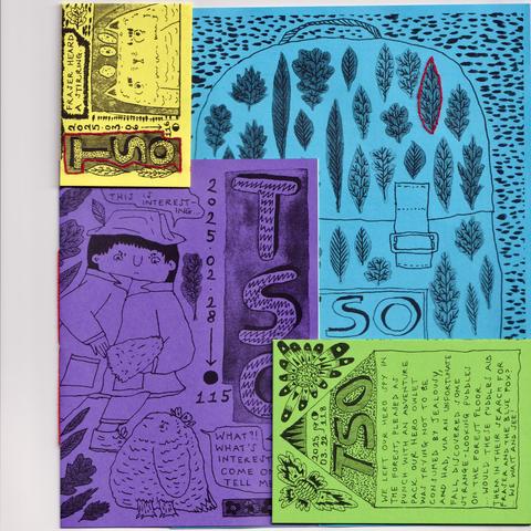 A set of four illustrated zines/comics, featuring Fraser the cat, Detective Tso, owlet Oat, leaves, flowers and the one and only best ever adventure pack! 