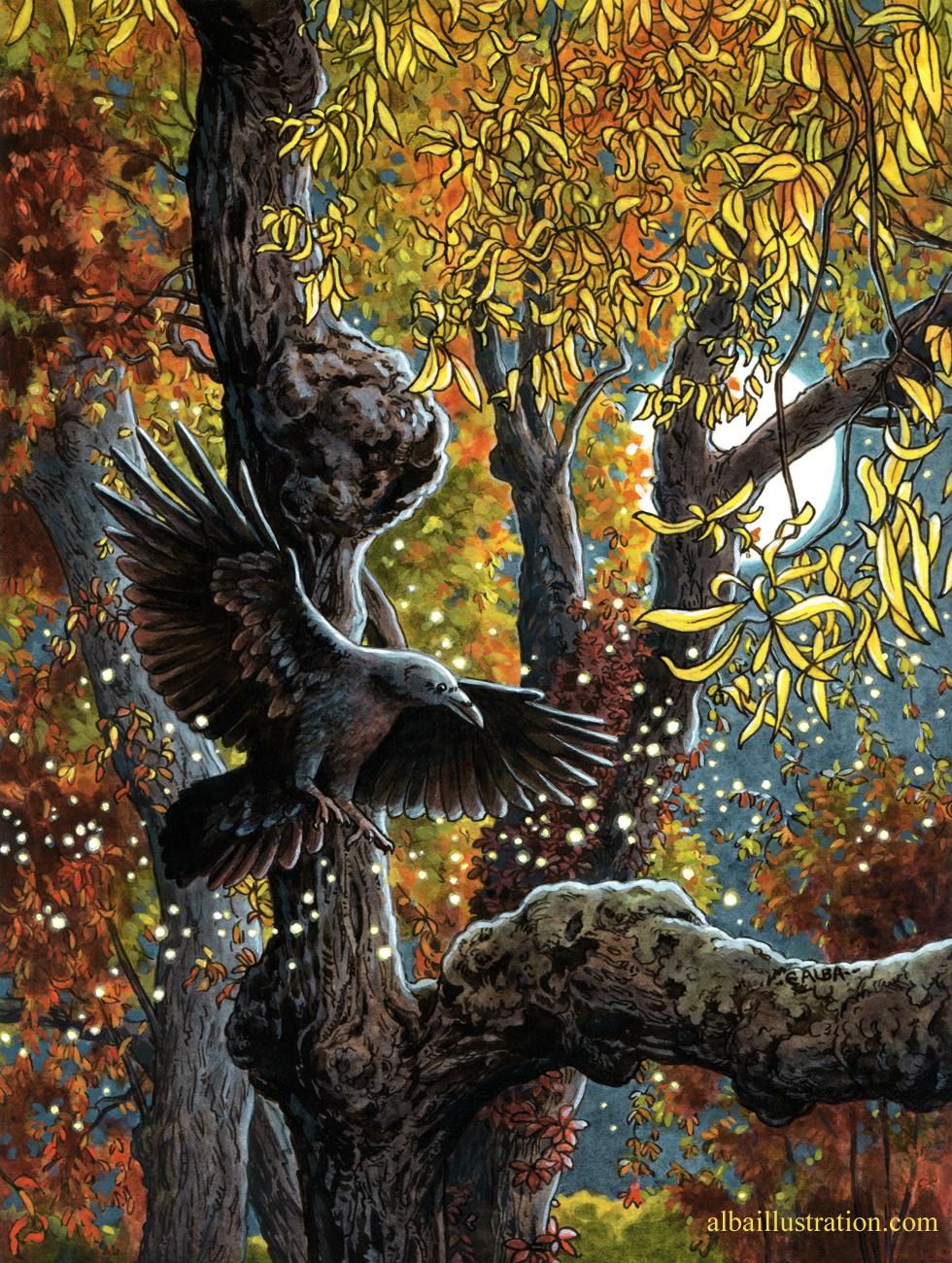 Illustration created with sepia ink, watercolor, and acryla gouache featuring a raven about to land on the branch of a corkscrew willow tree at night. There is a full moon behind the branches, and a band of magical sparkles flowing around the bird.