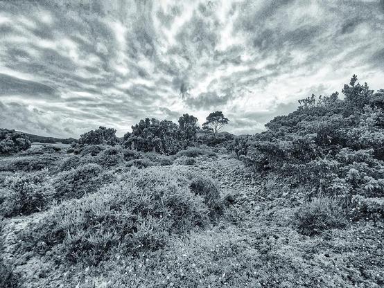 Posted media