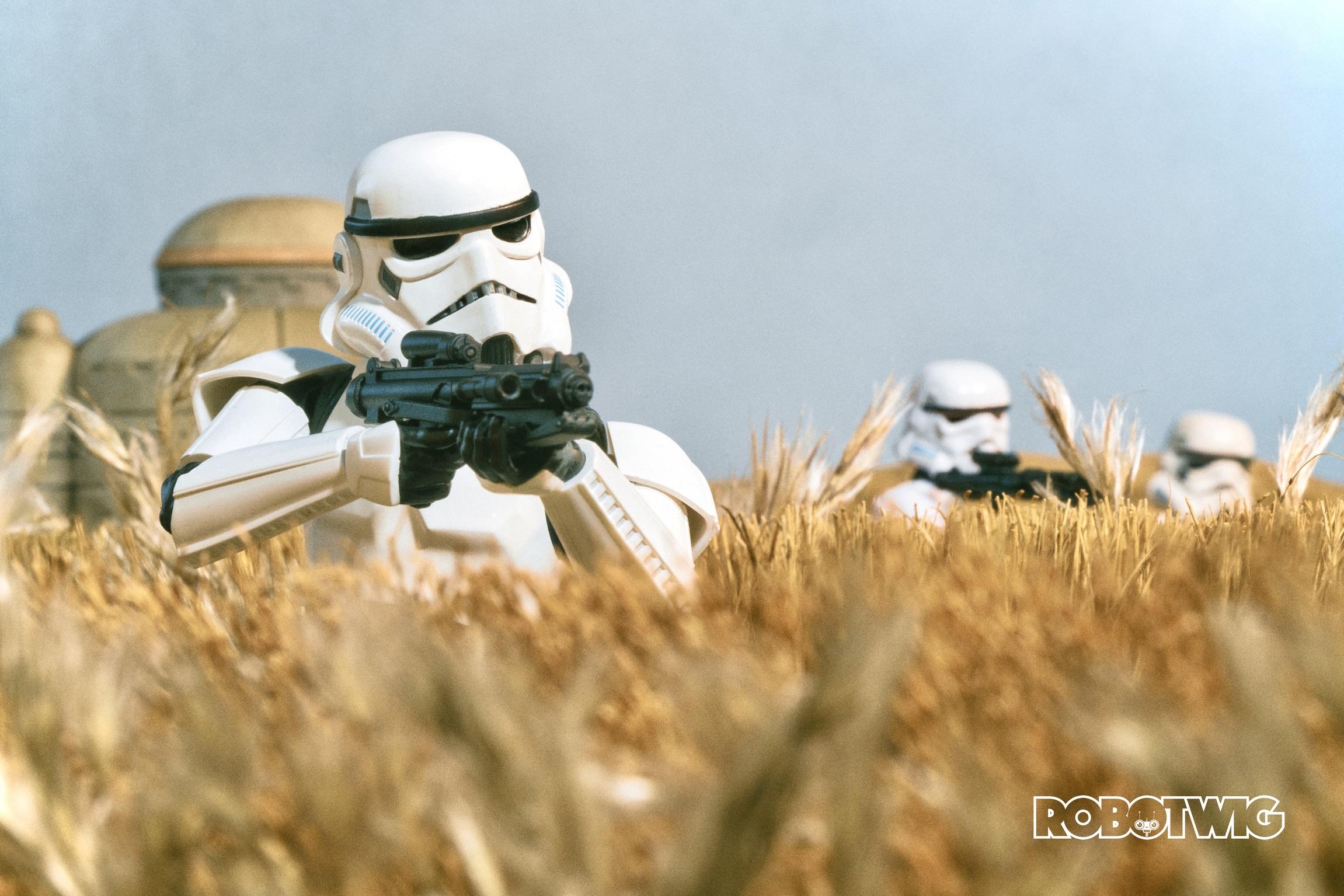 A group of armed stormtroopers walk through a crop field