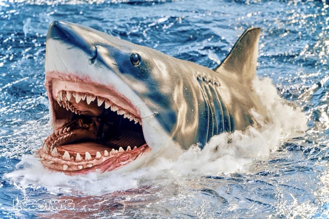 Jaws surfaces on it if the water mouth wide open