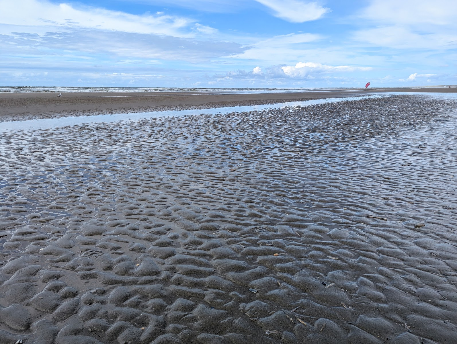 Nordseestrand bei Ebbe unter blauem Himmel, Foto von Karen Kaspar