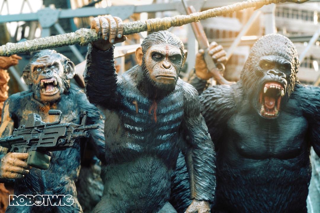 Caesar and the gang of apes prepare for a battle