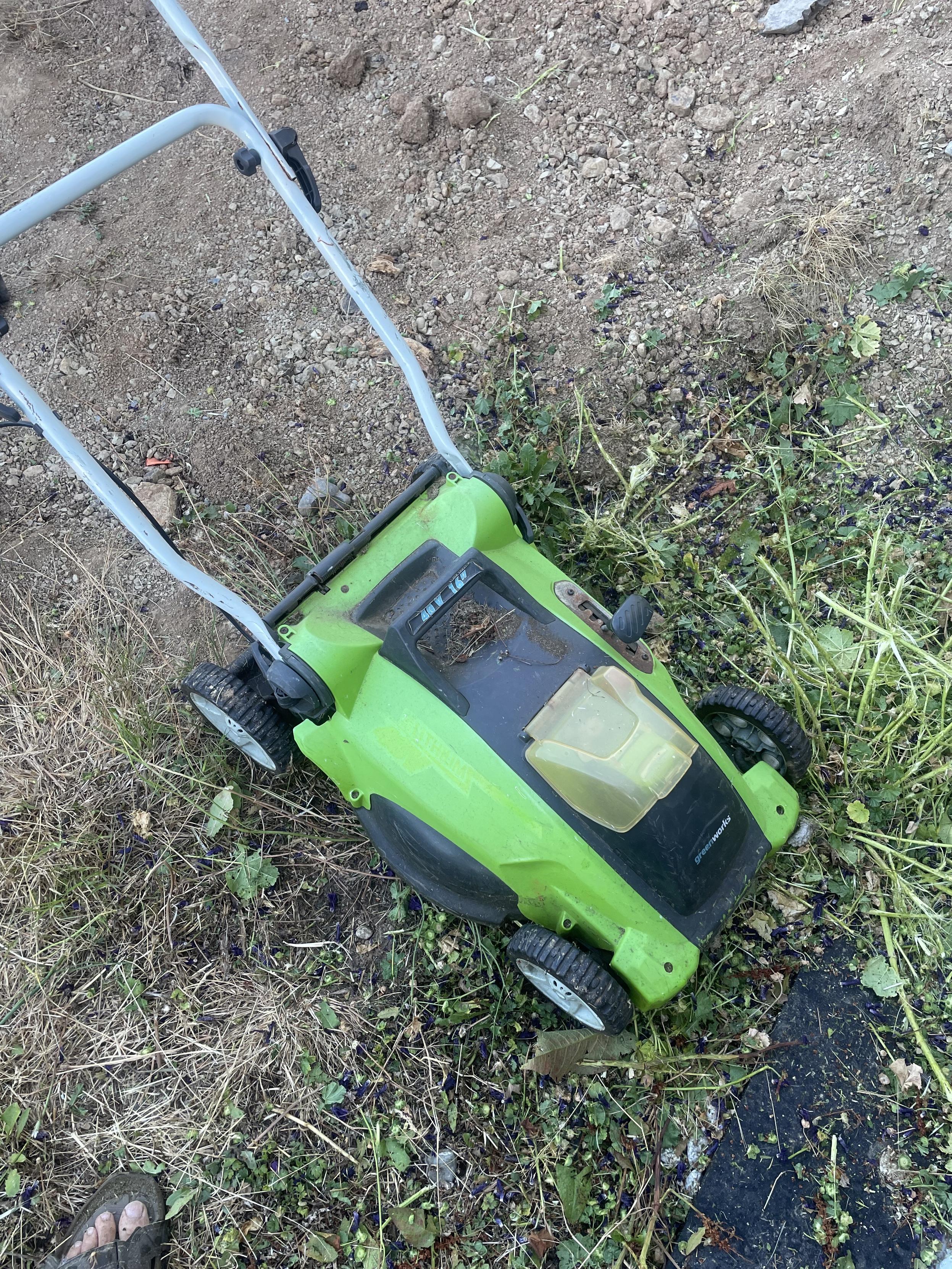 A small lawnmower. It is green.