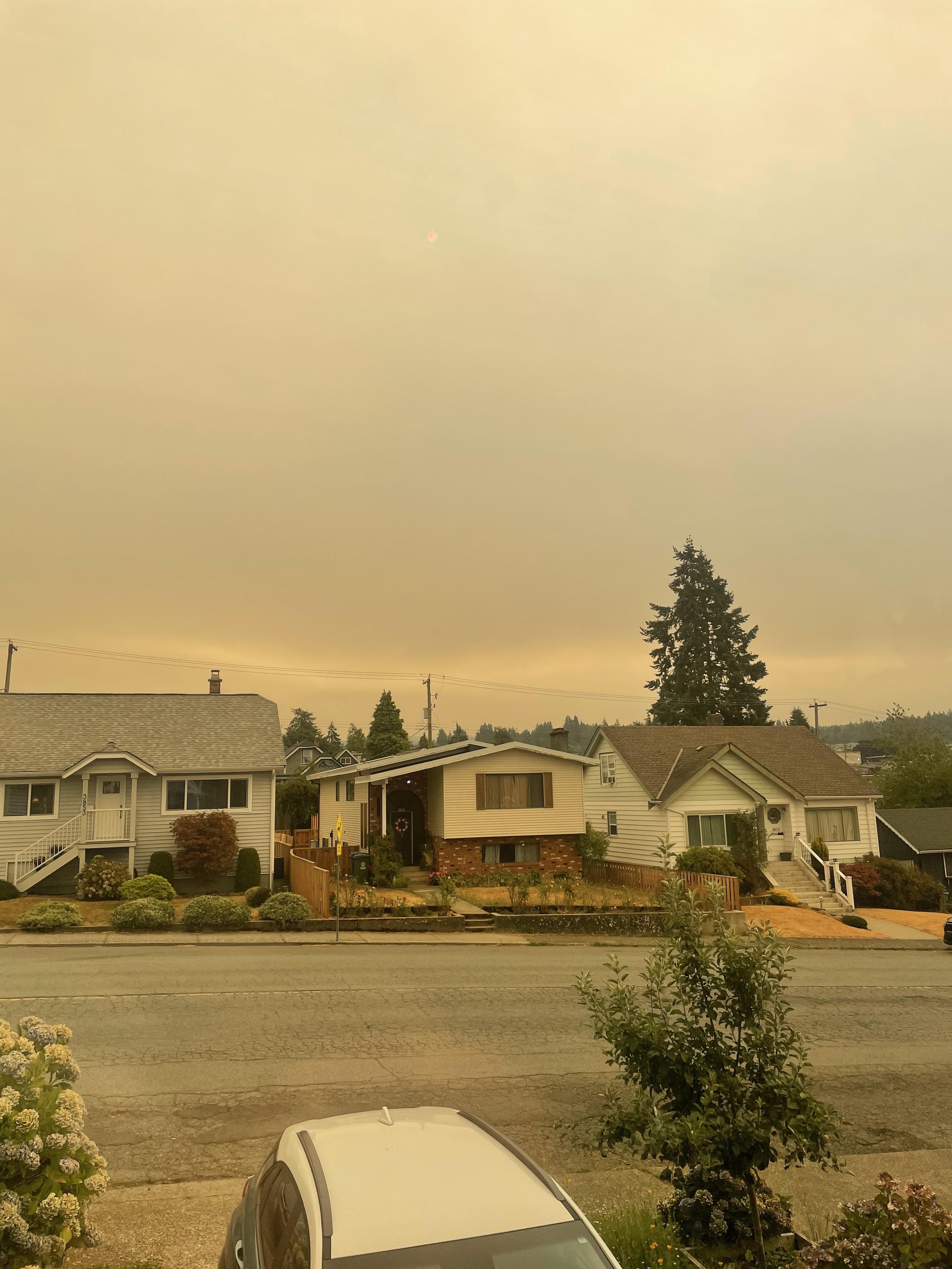An orange hued scene. The sun is just barely visible through the high smoke as a small pink disk. 