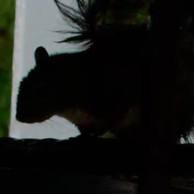 roger_booth@social.bitwig.community
