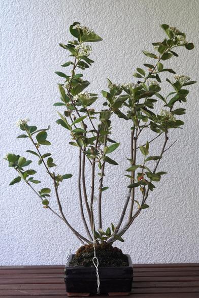 Posted media