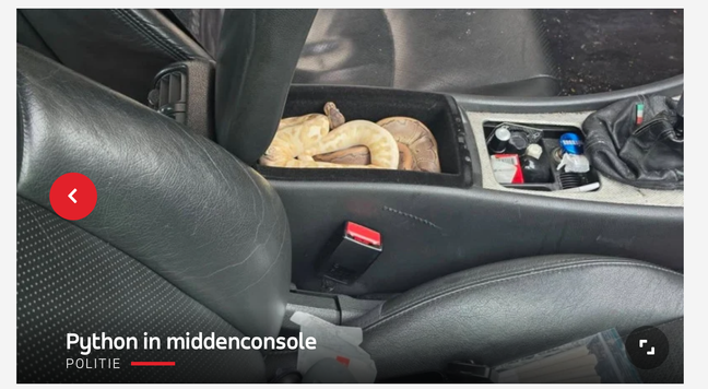 Photo of an actual live python curled up in the middle console of a car, labeled “python in middle console”