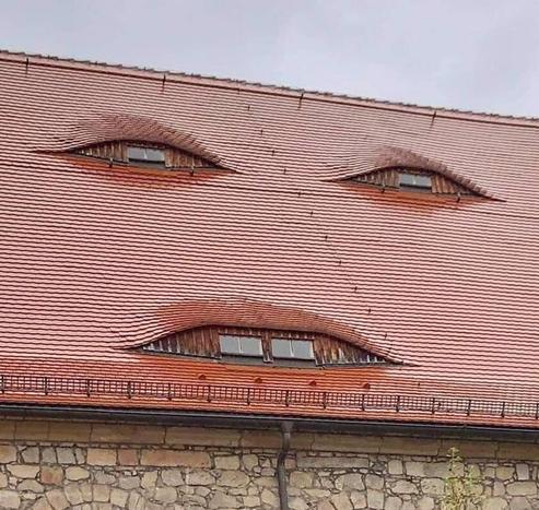 creepy looking house, like a face but slightly perverted.