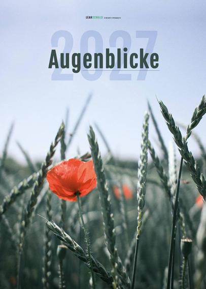 Kalender Cover auf dem Steht Augenblicke und dahinter etwas helle 2027. Darauf zu sehen ist ein Kornfeld mit einer roten Mohnblume.