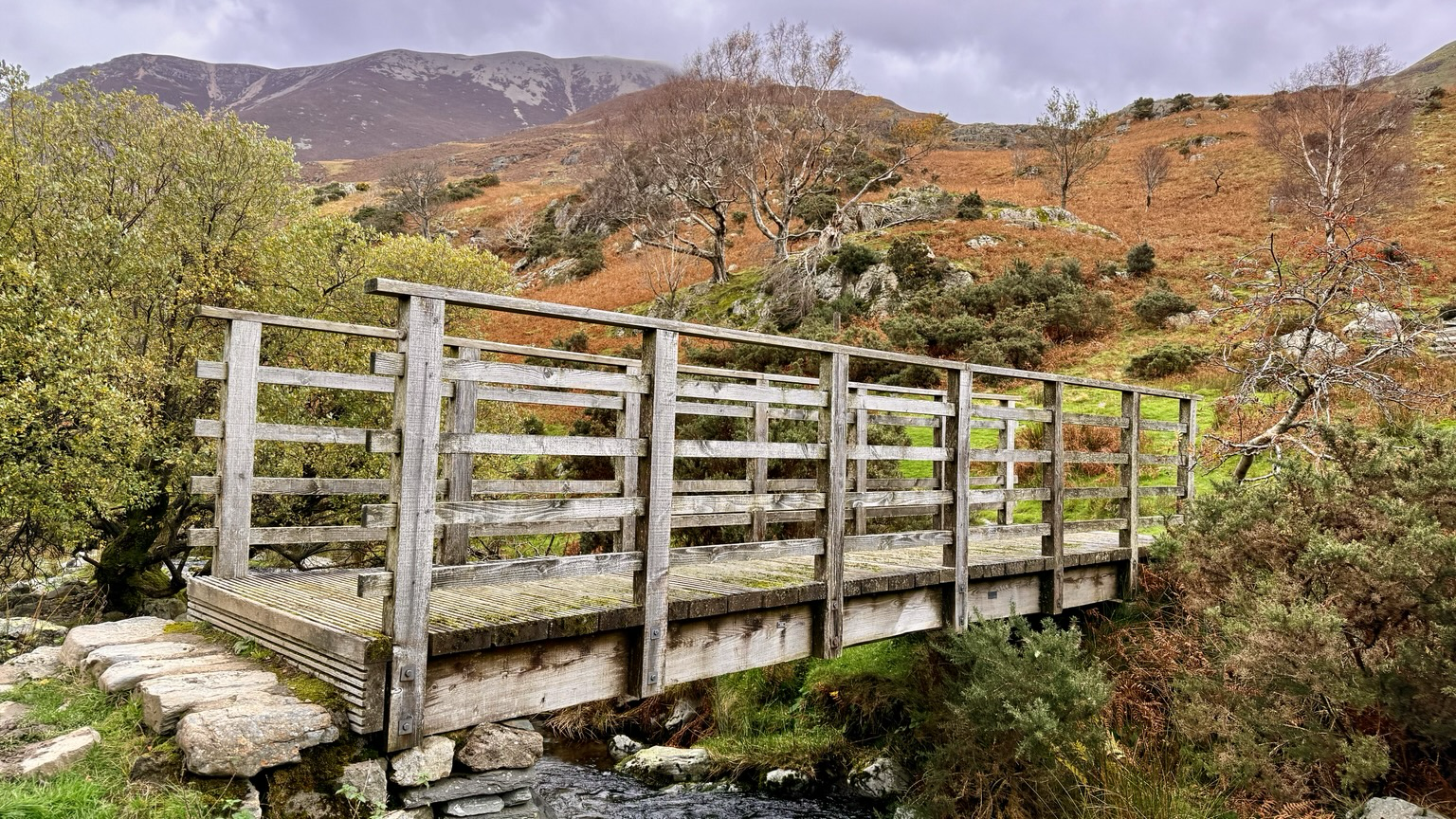 A bridge crossing a beck with brown bracken and leafless trees in the background.