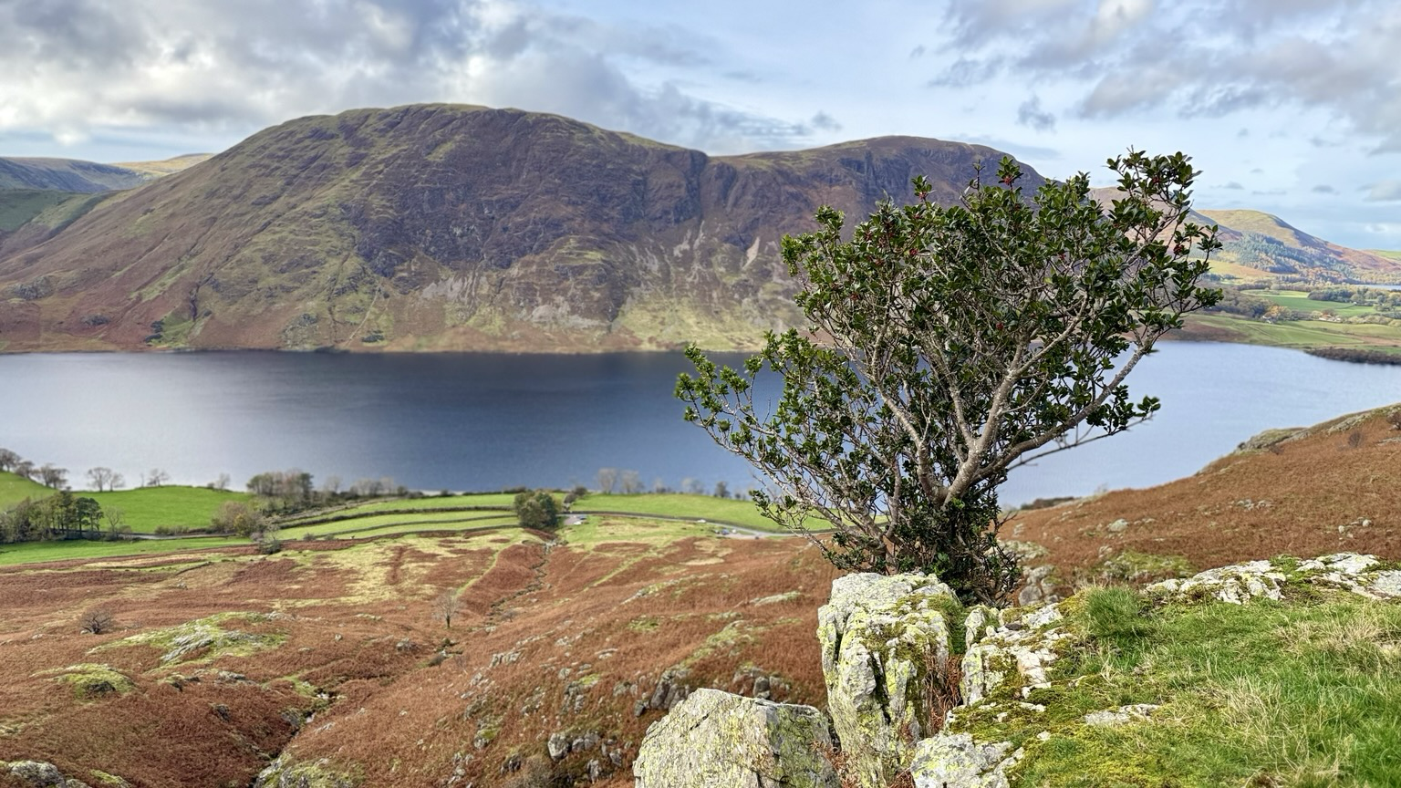 A small tree on a rocky outcrop looking out over a lake with mountains behind.