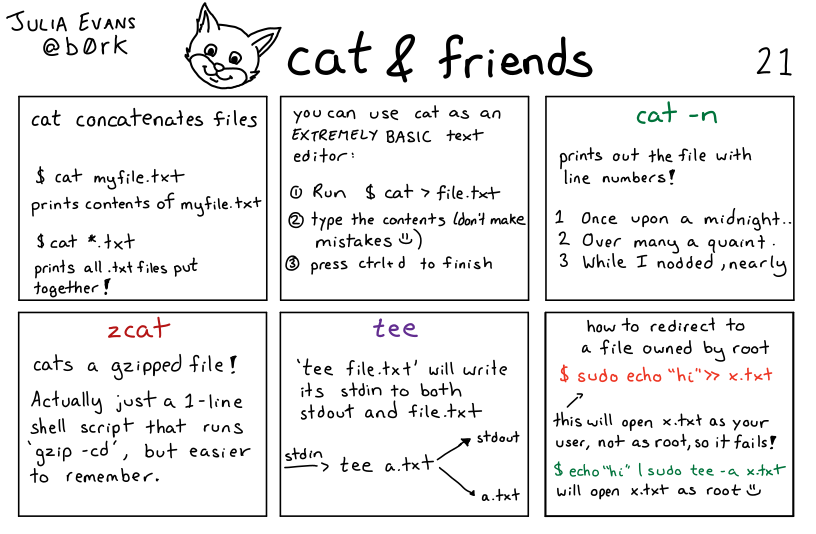 A hand drawn programming comic with the title 'cat'. Doesn't have a proper caption yet.