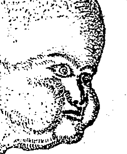 Image attached toot