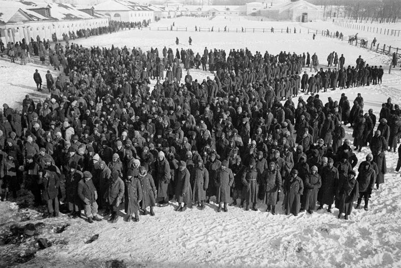 a field full of German soldiers who surrendered