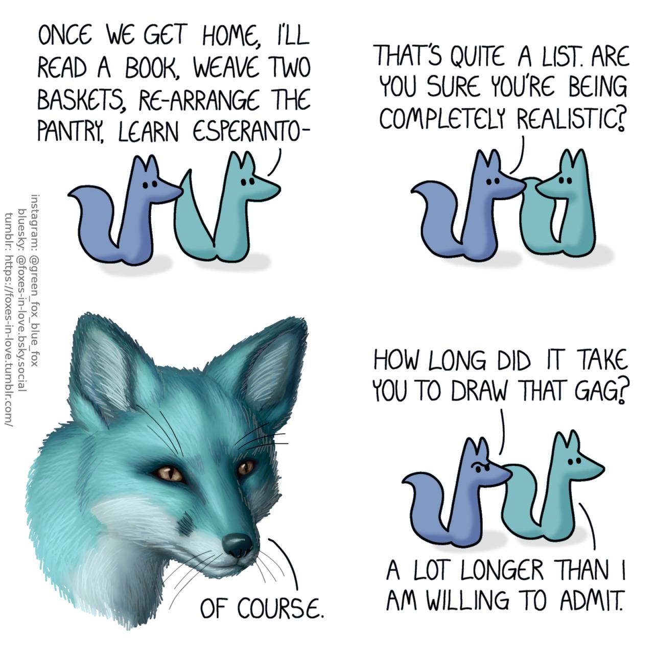 A comic of two foxes, one of whom is blue, the other is green. In this one, Blue and Green are walking. Blue listens intently as Green goes on talking as he talks, leading the way. Green: Once we get home, I'll read a book, weave two baskets, re-arrange the pantry, learn esperanto-  Blue interrupts Green, who turns to listen. Blue: That's quite a list. Are you sure you're being completely realistic?  Green takes a momentary pause from being cartoonish, being now depicted as a painstakingly detailed and shaded painting of a fox, with fur texture, whiskers and all. Extremely realistic Green: Of course.  Returning back to normal, Green keeps walking. Blue follows, looking at Green with suspicion. Blue: How long did it take you to draw that gag? Green: A lot longer than I am willing to admit.