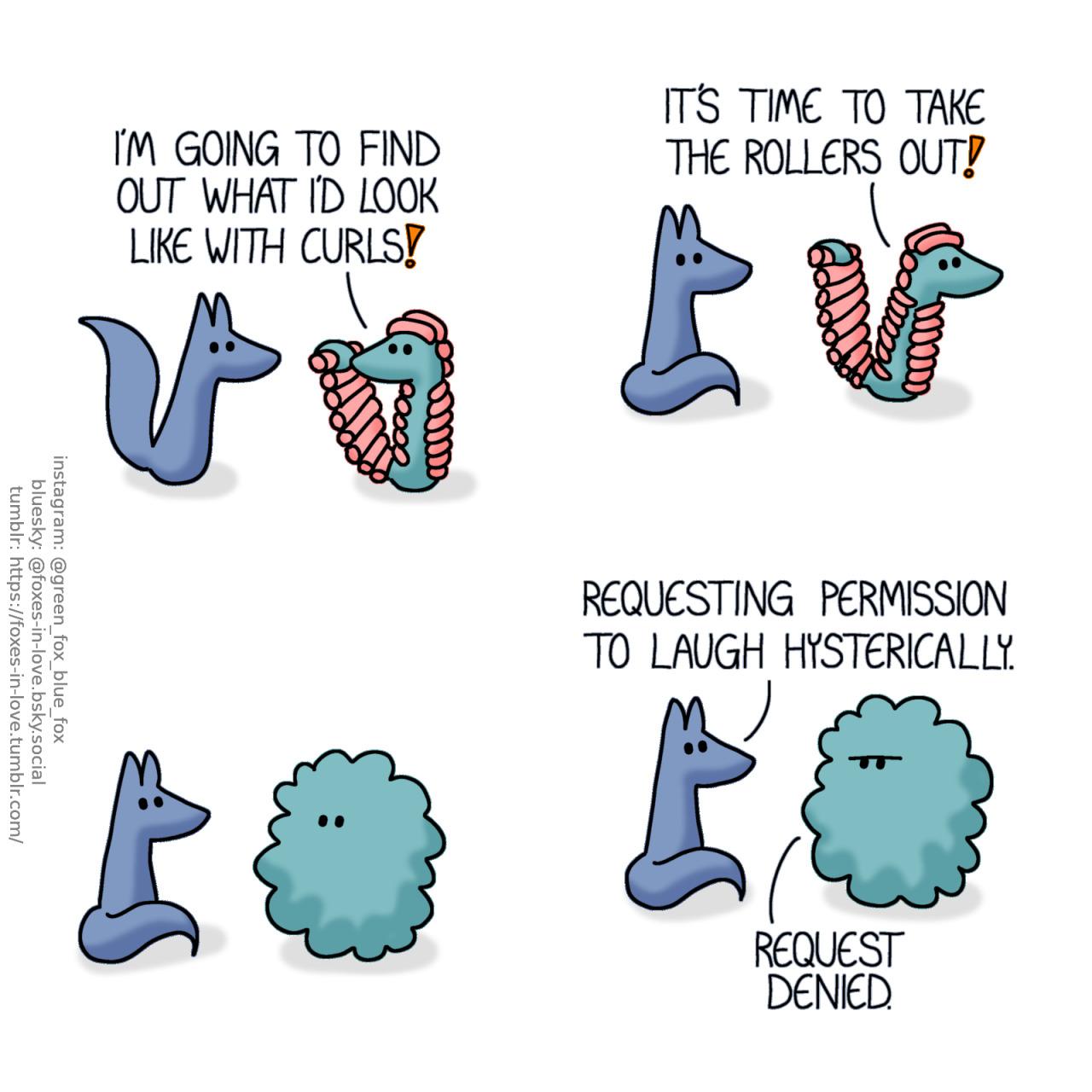 A comic of two foxes, one of whom is blue, the other is green. In this one, Blue looks at Green in confusion, as Green is covered in pink hair rollers. Green: I'm going to find out what I'd look like with curls!  Blue sits down to wait as Green leaves the room. Green: It's time to take the rollers out!  Blue sits with the most neutral expression possible as Green returns, as a fluffy cloud of uncontrollable curls.  With miraculous self-discipline, Blue manages to keep his expression neutral, while Green frowns at him. Blue: Requesting permission to laugh hysterically. Green: Request denied.