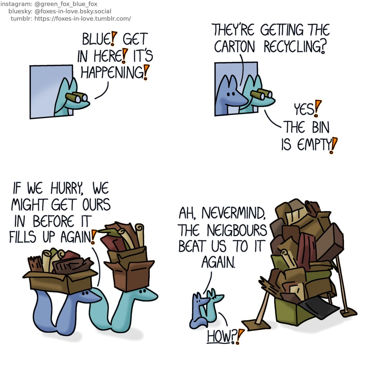 A comic of two foxes, one of whom is blue, the other is green. In this one, Green is peering out of the window with a pair of binoculars. Green: Blue! Get in here! It's happening!  Blue rushes to the window to peer outside next to Green. Blue: They're getting the carton recycling? Green: Yes! The bin is empty!  Carrying boxes of various folded, flattened and rolled-up cartons and cardboard containers, the foxes rush to the recycling bin. Blue: if we hurry, we might get ours in before it fills up again!  Reaching the carton recycling bin, the foxes look at the mountain of various folded, flattened and rolled-up cartons and cardboard containers already pouring out of the overfilled bin. The overflow mountain of carton recycling is so large that it's supported from several sides by flimsy wooden beams. Blue: Ah, nevermind. The neighbours beat us to it again. Green: How?!