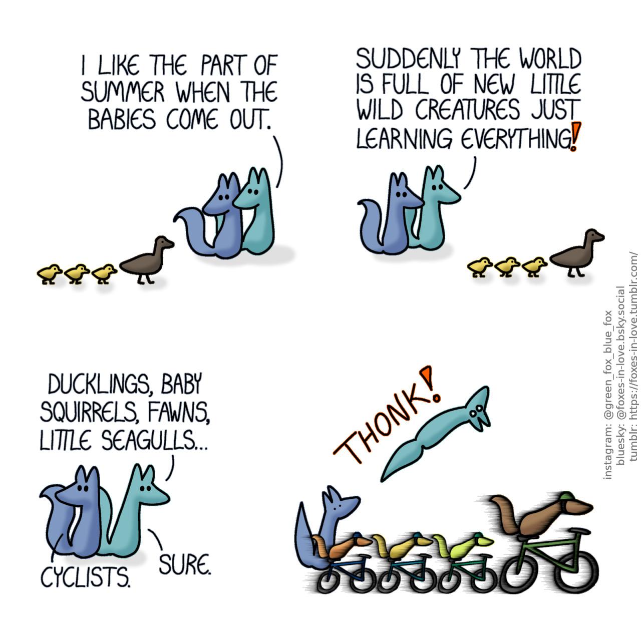 A comic of two foxes, one of whom is blue, the other is green. In this one, Blue and Green are on a walk, watching a mother duck pass by with three little ducklings trailing behind her in a row. Green: I like the part of summer when the babies come out. Suddenly the world is full of new little wild creatures just learning everything!  Going on, Green looks ahead as Blue glances behind them. Green: Ducklings, baby squirrels, fawn, little seagulls... Blue: Cyclists. Green: Sure.  Blue watches in shock as a cyclist passes by with three little cyclists trailing behind her in a row, breezing by with such speed that they launch unprepared Green flying into the air.