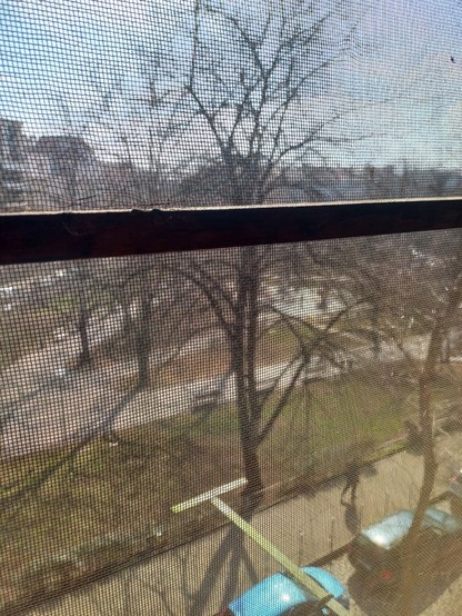 A view through a window screen, from the fourth floor, over a public garden.
