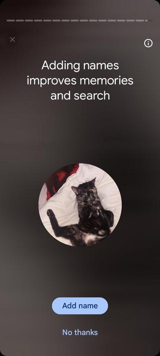 My cat sleeping like a boss.