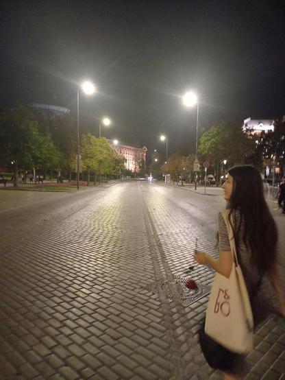 A beautiful woman carrying a red rose in her left hand is enjoying the temporary no-cars weekend in the city centre of Sofia, Bulgaria