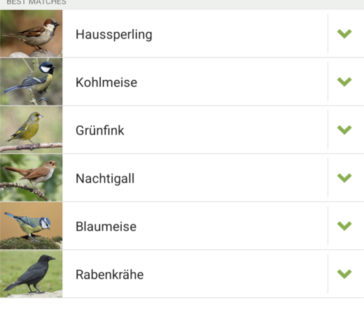 Screenshot aus einer App zur Vogelstimmenerkennung. Erkannte Vögel: Haussperling, Kohlmeise, Grünfink, Nachtigall, Blaumeise, Rabenkrähe