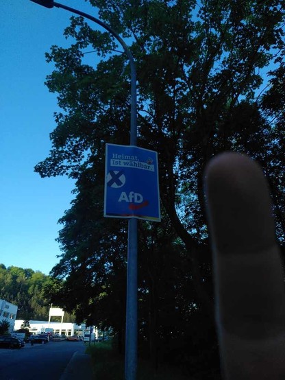 Ein Wahlplakat der Nazi-Partei AfD, daneben im Bild ein gestreckter Mittelfinger. All das vor Bäumen und einem hellblauen Himmel.