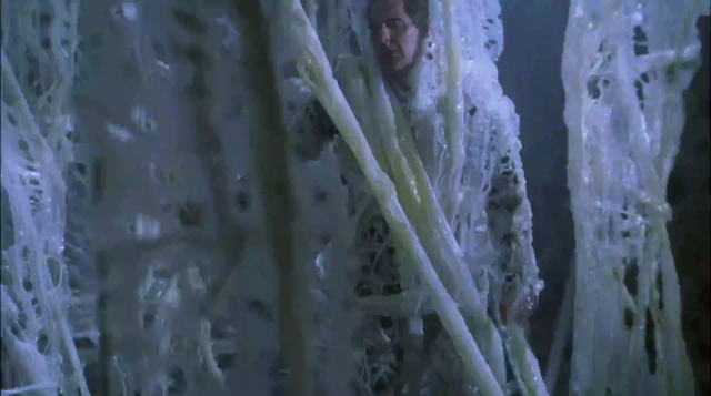 this is a clip from a star trek episode or movie