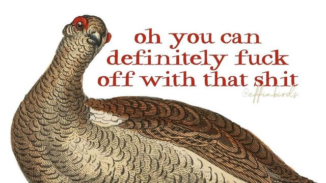 A painting of a bird beside the text "oh you can definitely fuck off with that shit"