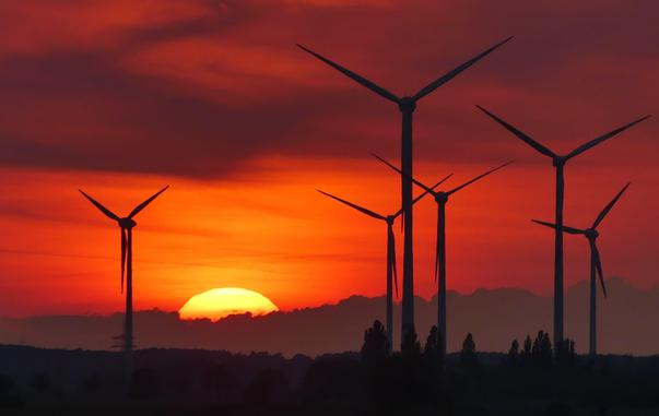 Sonnenuntergang hinter Windrädern und Säulenpappeln, knallorange