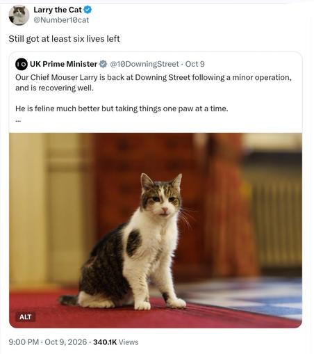 A screenshot of a social media post from Larry the Cat [@]Number10cat that says, "Still got at least six lives left". The post quotes a message from UK Prime Minister [@]10DowningStreet from Oct 9, which reads, "Our Chief Mouser Larry is back at Downing Street following a minor operation, and is recovering well. He is feline much better but taking things one paw at a time. ...". Below the text is a photograph of a white, grey, and brown tabby cat sitting on a red and blue patterned rug. The background of the photograph is a blurred indoor setting. At the bottom, the timestamp reads "9:00 PM · Oct 9, 2026 · 340.1K Views".
