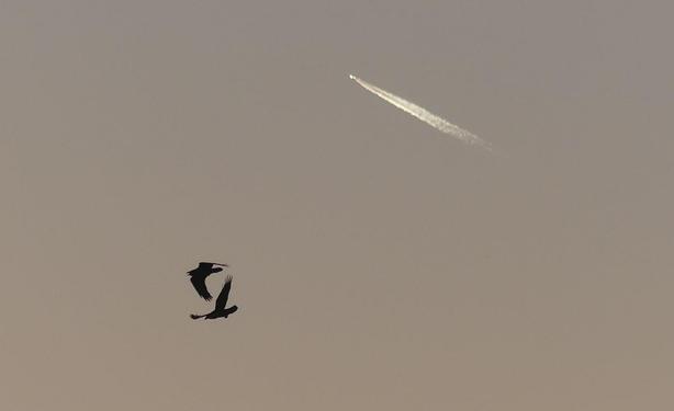2 Scherenschnittraben, nah im Flug, einer ruft, drüber ein silberner Kondensstreifen