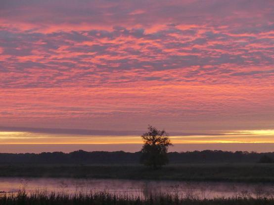fliederfarbene Wolkendecke, die Unterseitenwellen pink angestrahlt, Spiegelung in der Elbe flieder