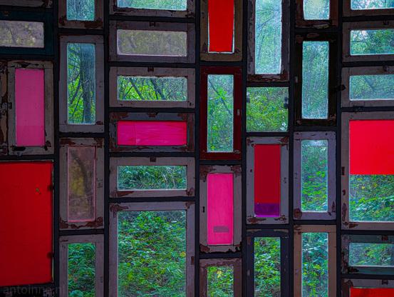 A mosaic-style structure constructed from numerous reclaimed wooden window frames fitted closely together.

Many panes consist of clear glass looking out onto a dense, lush green forest with trees and foliage. 

Interspersed throughout the structure are panes filled with solid bright red and magenta/pink panels or fabric.

The structure is part of the exhibition at the Verbeke Foundation.