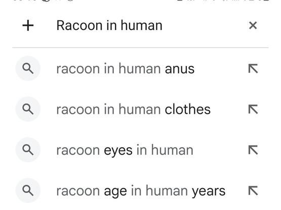 Search suggestions for 'Racoon in human...' 

From bottom (no pun intended) to top....

Racoon age in human years
Racoon eyes in human (???)
Racoon in human clothes
RACOON IN HUMAN ANUS