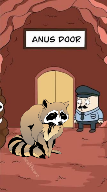 anus door raccoon