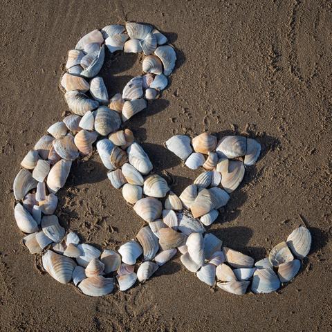 An ampersand formed of bits of broken white shells, on a plain sandy beach.