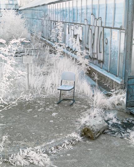A photo down a rotten greenhouse. There’s grey dirt, a lot of grass and shrubbery, as well as a typical classroom chair. It is very out of place, ont he outside, in some shrubbery. A weird scene. All grass is white, the photo very desaturated, all in all an alien look