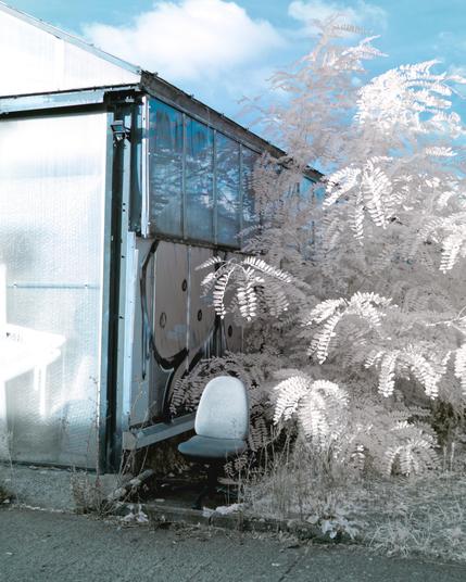 An office chair next to an old greenhouse with big white blue glass walls. There’s also a tall plant with very bright white leaves. The sky is blue, as is the entire scene. An odd photo
