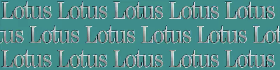 the word lotus in serif text in grey repeated in 3 rows over and over with a teal background
