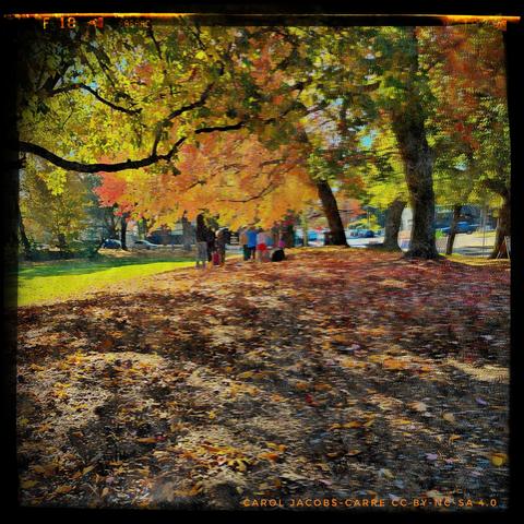 A group of children are playing in the multicolored leaves under large spreading buckeye and maple trees. The sunlight is filtered through the glowing autumn trees. The trees are colored in shades of red, yellow, orange and green. The shadows are long and deep, with dappled sunlight highlighting the leafy ground. The photo processing is intended to create an impressionistic image where the dominant effects are of sunlight, shadow, and glowing colors.