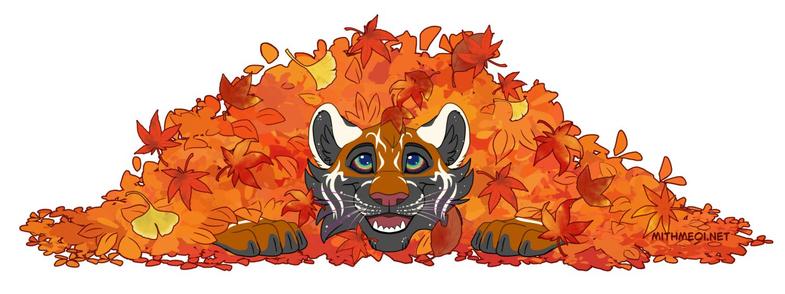 A cute, rather detailed drawing of a feral version of my Sona (space themed anthro tiger with inverted brightness) buried in a pile of leaves, only their head and paws visible outside the pile, one leaf on their head. They are looking slightly up at it, showing off the wonderful detailing of the eyes inspired by planetary nebulae: A brilliant gradient from a dark blue over the red outer edge of the iris, to the black sclera suffused with wispy outward facing purplish lines, like gas trails.
Kris also did a rather cool interpretation of the whole “stripes are arms of a galaxy” thing with individual white spots inside the black fur even in this daylight scene, which works especially well inside the ears.