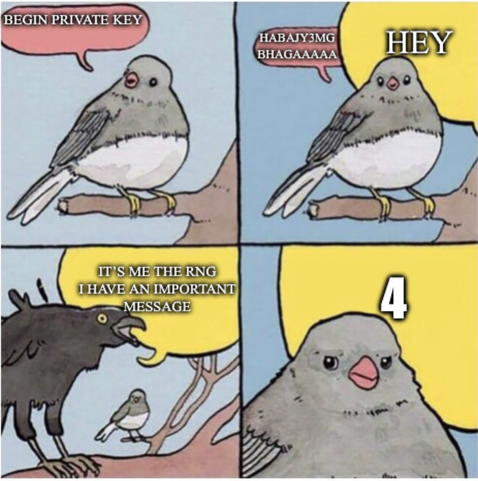 A four panel comic. A bird sits on a branch. It says “BEGIN PRIVATE KEY”

Then it starts saying some Base64 encoded stuff while off panel someone says HEY. 

The other person is revealed to be a big bird who yells ITS ME THE RNG I HAVE AN IMPORTANT MESSAGE

The message is 4. The first bird looks annoyed.