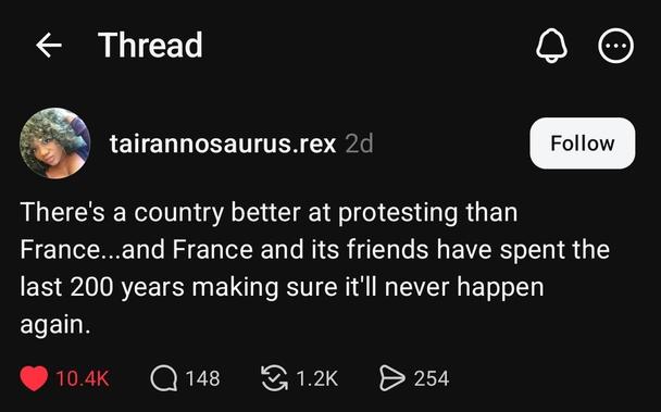 A Threads post from user @tairannosaurus.rex;

"There's a country better at protesting than France...and France and its friends have spent the last 200 years making sure it'll never happen again."