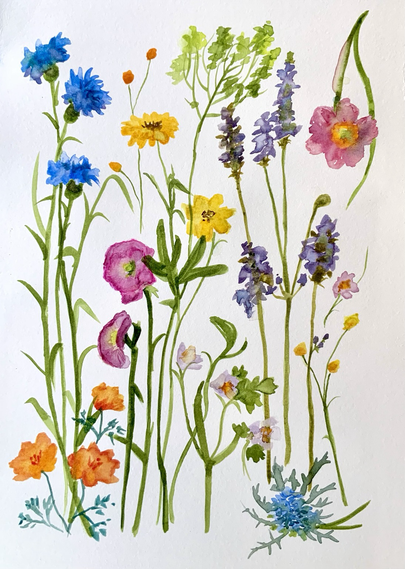 A wide variety of different wildflowers on a white background, stems down. As if clipped and put on a table.