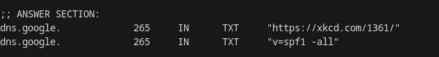 dig showing 2 TXT DNS answers for dns.google

one of them is just standard email SFP

the other one is https://xkcd.com/1361/
