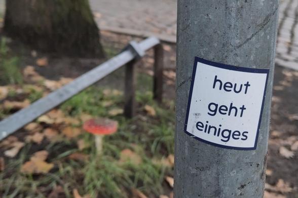 straßenlaternenmast mit aufkleber "heut geht einiges". dahinter schmutziger fliegenpilz im grünstreifen. kopfpflaster und niedriges straßenrandgeländer.