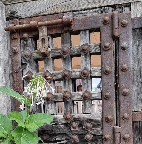 A window with forged iron bolts holding struts and metal bars in place on a window in a door to nowhere at Newby Hall in North Yorkshire.